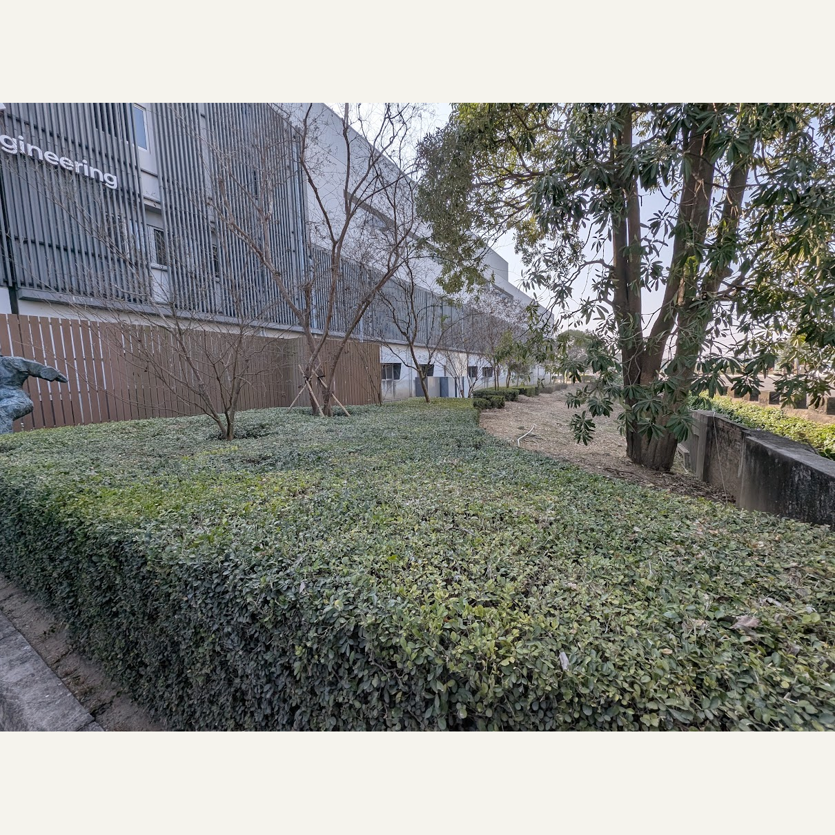 建築側邊大片低矮綠籬與樹木形成不同高度的綠帶